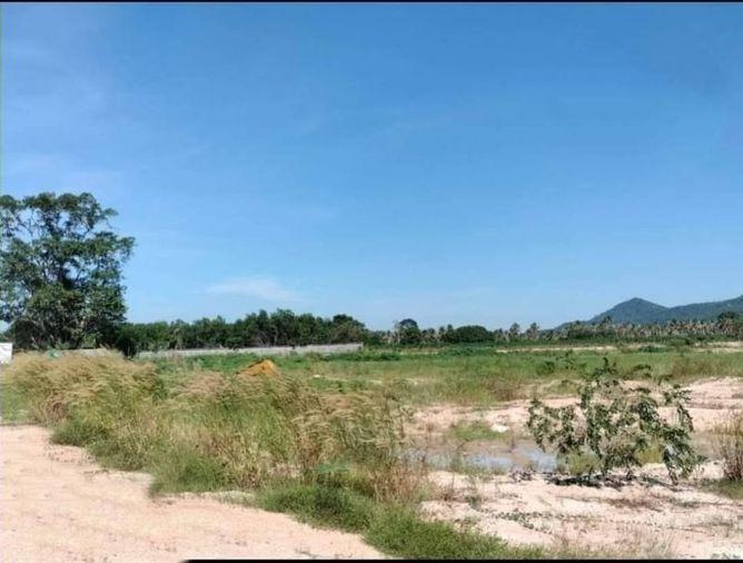 รูป ขายที่ดิน แปลงสวย พัทยา ตะเคียนเตี้ย ผังสีเหลือง คมนาคมสะดวก ชลบุรี - รูปที่ 1/6