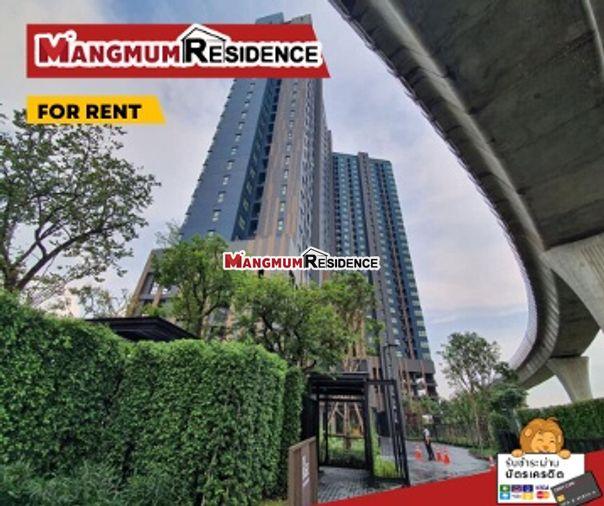 รูป 🏢 The Base Phetkasem ปล่อยเช่า! 💥 ปรับราคาด่วน เหลือเพียง 11,000 บาท รีบจองก่อน! 💥ห้องสวยสภาพดีพร้อมเข้าอยู่ 📍 ใกล้ MRT เพชรเกษม 48 เดินทางสะดวก‼️ - รูปที่ 13/14