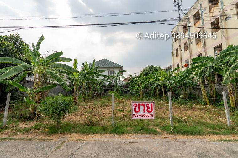 รูป ขายที่ดินลำลูกกา คูคต 112 ตรว. ที่ดินใกล้รถไฟฟ้า BTS คูคต อยู่ในเขตชุมชน ติดถนนคอนกรีต เหมาะปลูกบ้านอยู่อาศัย หรือค้าขาย เข้าออกได้หลายทาง - รูปที่ 1/28