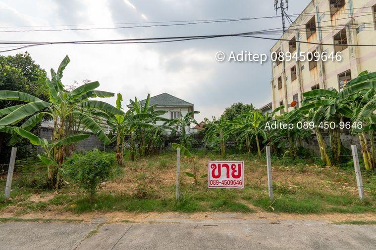 รูป ขายที่ดินลำลูกกา คูคต 112 ตรว. ที่ดินใกล้รถไฟฟ้า BTS คูคต อยู่ในเขตชุมชน ติดถนนคอนกรีต เหมาะปลูกบ้านอยู่อาศัย หรือค้าขาย เข้าออกได้หลายทาง - รูปที่ 1/28
