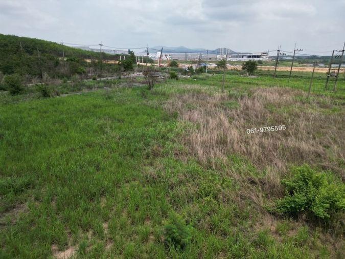 picture Land in Sriracha, Bowin, purple striped area. purple striped space Next to Sarathan Road, Chonburi - 8/8