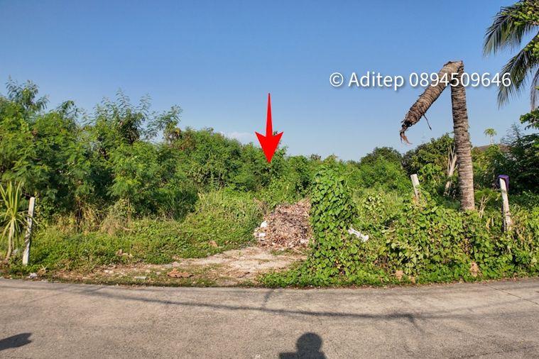 รูป ขายที่ดิน บางใหญ่ 1 ไร่ 331 ตรว. ใกล้ถนนกาญจนาภิเษก เข้าซอยวัดปรางค์หลวง 800 ม. ที่ดินเปล่าถมแล้ว ติดถนนคอนกรีต - รูปที่ 4/25