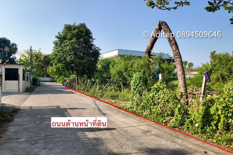 รูป ขายที่ดิน บางใหญ่ 1 ไร่ 331 ตรว. ใกล้ถนนกาญจนาภิเษก เข้าซอยวัดปรางค์หลวง 800 ม. ที่ดินเปล่าถมแล้ว ติดถนนคอนกรีต - รูปที่ 5/25