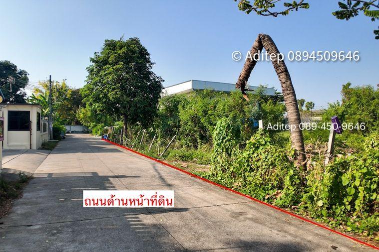 รูป ขายที่ดิน บางใหญ่ 1 ไร่ 331 ตรว. ใกล้ถนนกาญจนาภิเษก เข้าซอยวัดปรางค์หลวง 800 ม. ที่ดินเปล่าถมแล้ว ติดถนนคอนกรีต - รูปที่ 5/25