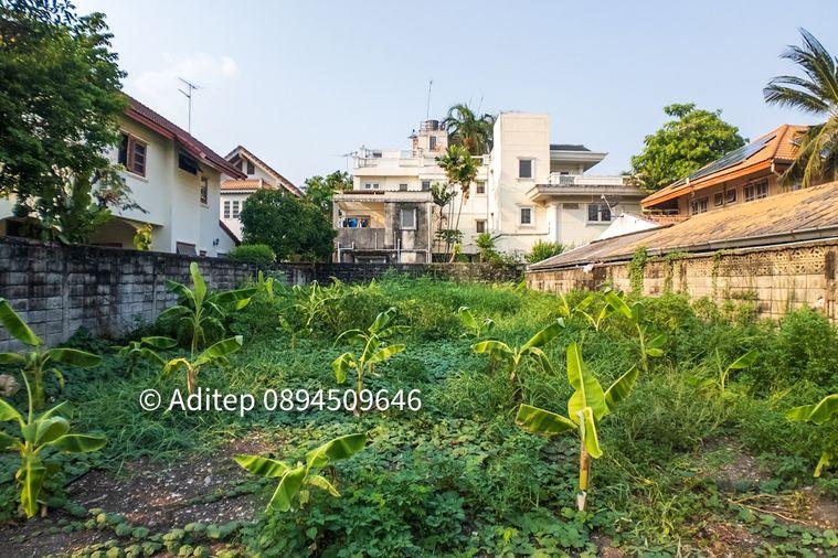 รูป ขาย ที่ดิน เมืองทองธานี โครงการ 5 ขนาด 85 ตรว. ตรงข้ามกรมที่ดิน ใกล้ทางด่วน มสธ. อิมแพค แจ้งวัฒนะ ปากเกร็ด ถมแล้วเหมาะปลูกบ้าน - รูปที่ 19/22
