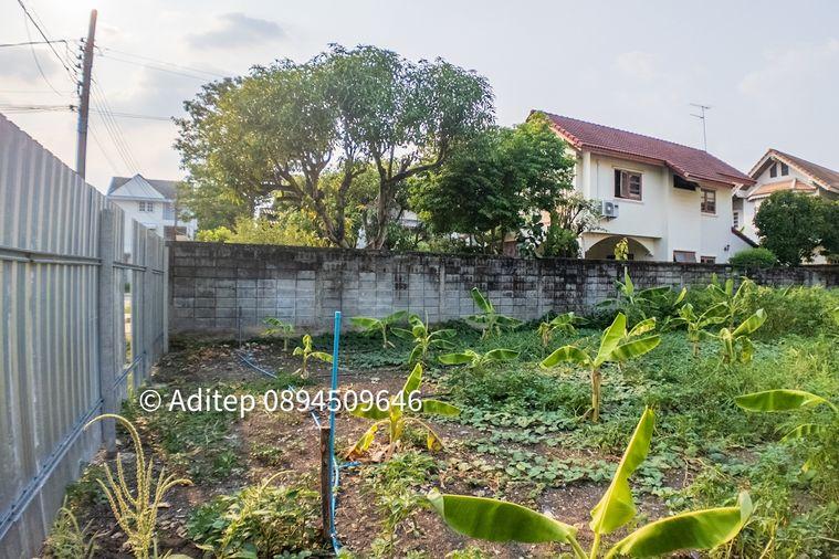รูป ขาย ที่ดิน เมืองทองธานี โครงการ 5 ขนาด 85 ตรว. ตรงข้ามกรมที่ดิน ใกล้ทางด่วน มสธ. อิมแพค แจ้งวัฒนะ ปากเกร็ด ถมแล้วเหมาะปลูกบ้าน - รูปที่ 18/22