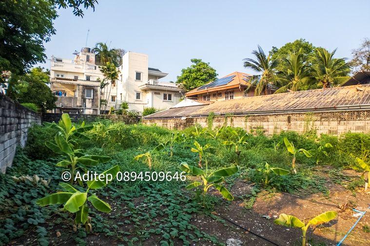 รูป ขาย ที่ดิน เมืองทองธานี โครงการ 5 ขนาด 85 ตรว. ตรงข้ามกรมที่ดิน ใกล้ทางด่วน มสธ. อิมแพค แจ้งวัฒนะ ปากเกร็ด ถมแล้วเหมาะปลูกบ้าน - รูปที่ 20/22