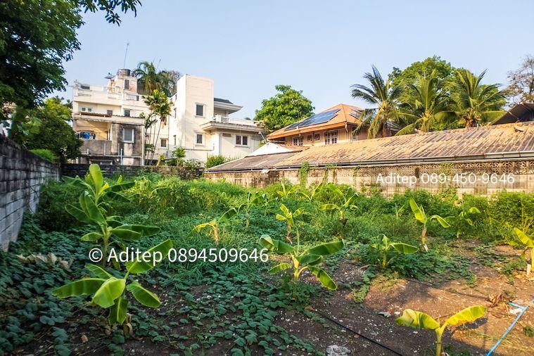 รูป ขาย ที่ดิน เมืองทองธานี โครงการ 5 ขนาด 85 ตรว. ตรงข้ามกรมที่ดิน ใกล้ทางด่วน มสธ. อิมแพค แจ้งวัฒนะ ปากเกร็ด ถมแล้วเหมาะปลูกบ้าน - รูปที่ 20/22