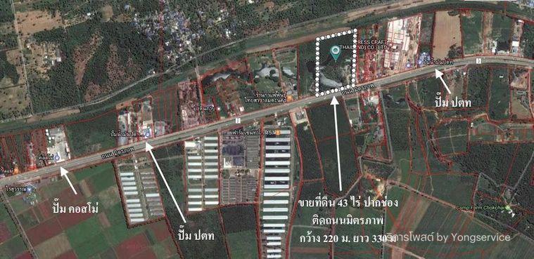 รูป Call : 081-621-8899 ขายที่ดินปากช่อง 43 ไร่ (แบ่งขาย 21 ไร่ได้) ราคาถูกมาก หน้ากว้างติดถนนมิตรภาพ 220 เมตร กลางดง ปากช่อง นครราชสีมา - รูปที่ 4/13