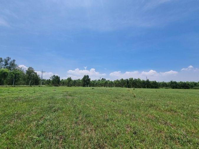 picture Beautiful plot of land for sale, orange area, complete with water and electricity, Nong Kham zone, Sriracha. - 5/17