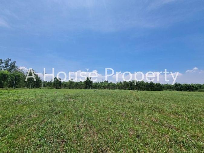 picture Beautiful plot of land for sale, orange area, complete with water and electricity, Nong Kham zone, Sriracha. - 5/17