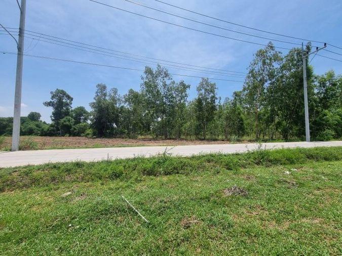 picture Beautiful plot of land for sale, orange area, complete with water and electricity, Nong Kham zone, Sriracha. - 8/17