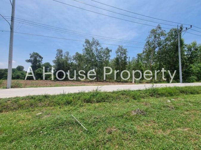 picture Beautiful plot of land for sale, orange area, complete with water and electricity, Nong Kham zone, Sriracha. - 8/17
