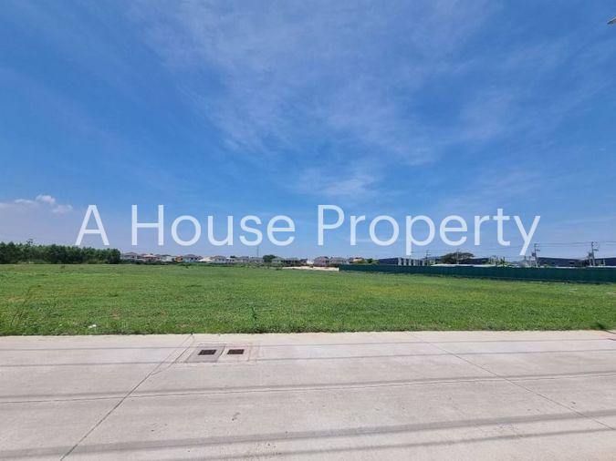 picture Beautiful plot of land for sale, orange area, complete with water and electricity, Nong Kham zone, Sriracha. - 11/17