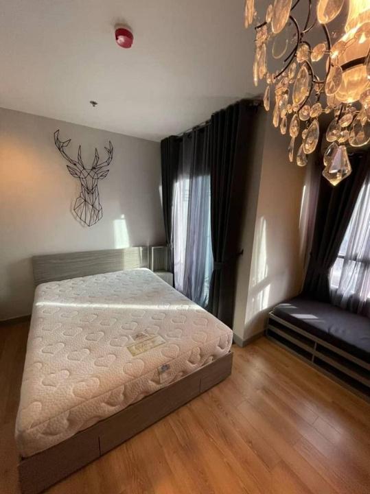 รูป A053 ให้เช่าคอนโด Chapter One Midtown Ladprao 24 (แชปเตอร์ วัน มิดทาวน์ ลาดพร้าว 24) ห้องสวย เฟอร์ครบ ราคาพิเศษ - รูปที่ 4/10