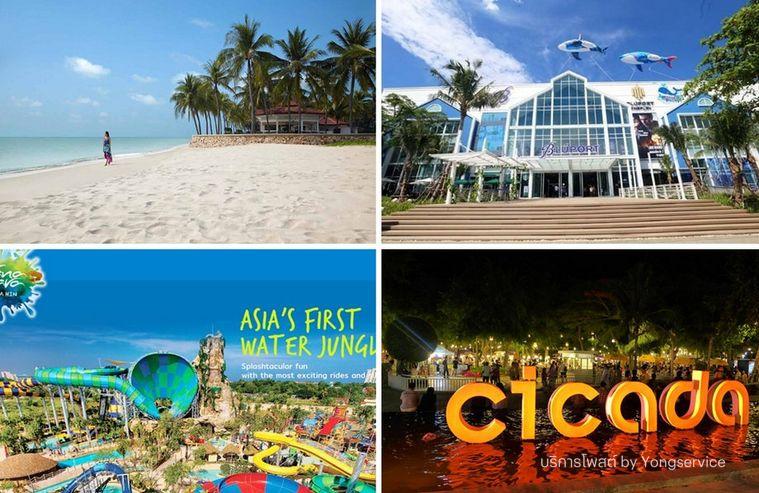 รูป Call : 065-656-9588 Condo Dusit D2 Residence Huahin ใกล้ชายหาดหัวหิน แบบ 1 ห้องนอน ชั้น5 วิวสระว่ายน้ำ และสวนสวย ตกแต่งครบ - รูปที่ 9/11
