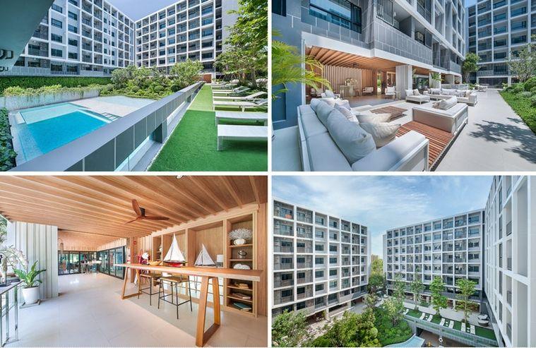 รูป Call : 065-656-9588 Condo Dusit D2 Residence Huahin ใกล้ชายหาดหัวหิน แบบ 1 ห้องนอน ชั้น5 วิวสระว่ายน้ำ และสวนสวย ตกแต่งครบ - รูปที่ 8/11