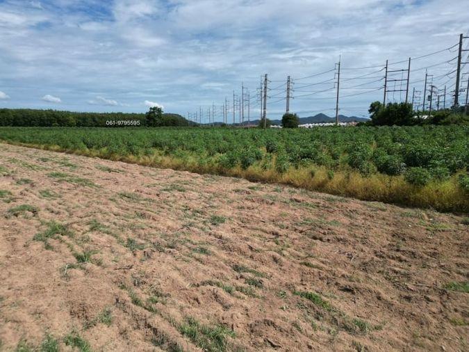 picture Bo Win land for sale, large plot, purple striped area. Near WHA1 Industrial Estate - 6/7
