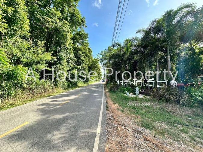 picture Land for sale with business Coffee shop, cafe, Sattahip zone, Chonburi - 8/19