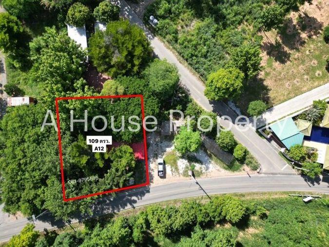 picture Land for sale with business Coffee shop, cafe, Sattahip zone, Chonburi - 1/19