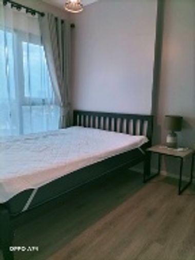 picture kensington sukhumvit for rent full furnished - 10/14
