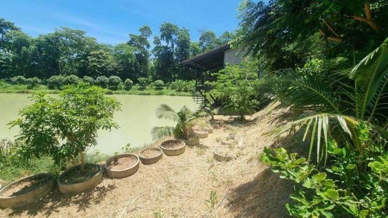 picture Land for sale in Bueng Sri Racha, prime location near Sahapat Group. - 8/10