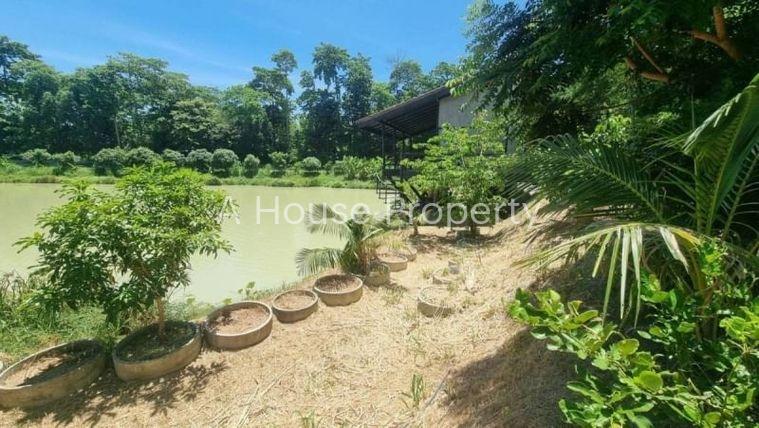 รูป ขายที่ดินบึง ศรีราชา ทำเลทอง ใกล้เครือสหพัฒน์ - รูปที่ 8/10