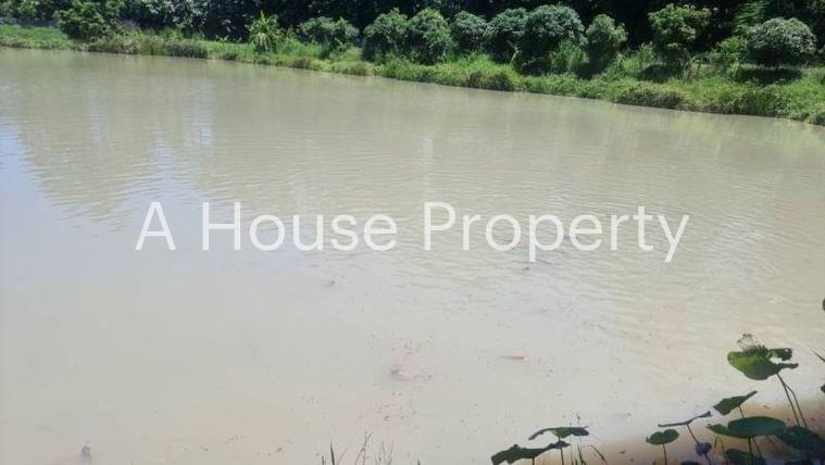 picture Land for sale in Bueng Sri Racha, prime location near Sahapat Group. - 10/10