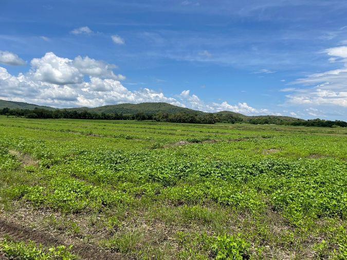 picture Land for sale, title deed, near Highway No. 21, only 1 km., Bueng Sam Phan District, Phetchabun., mountain views, very good air. - 1/18