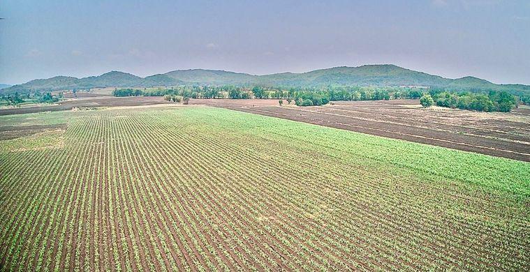 picture Land for sale, title deed, near Highway No. 21, only 1 km., Bueng Sam Phan District, Phetchabun., mountain views, very good air. - 6/18