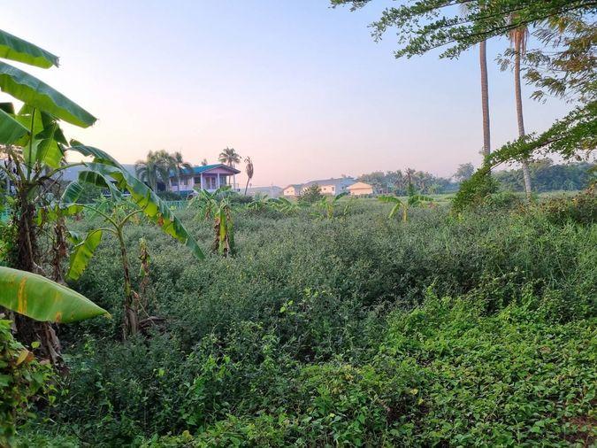 รูป ขาย ที่ดิน 15-3-28ไร่ พุทธมณฑลสาย7 นครปฐม ใกล้แม่น้ำท่าจีน มีโฉนด ไม่ติดจำนอง น้ำไฟเข้าถึง เหมาะทำร้านอาหาร ที่พัก รีสอร์ท โฮมสเตย์ - รูปที่ 6/9