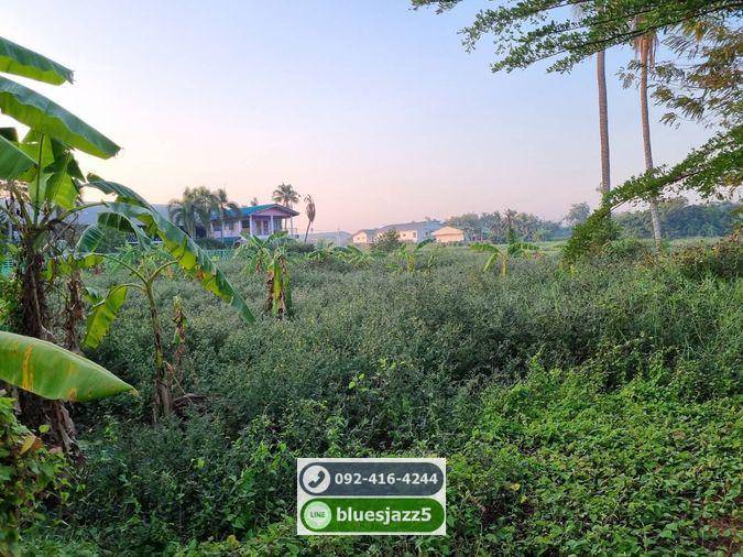 รูป ขาย ที่ดิน 15-3-28ไร่ พุทธมณฑลสาย7 นครปฐม ใกล้แม่น้ำท่าจีน มีโฉนด ไม่ติดจำนอง น้ำไฟเข้าถึง เหมาะทำร้านอาหาร ที่พัก รีสอร์ท โฮมสเตย์ - รูปที่ 6/9