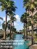 listing thumbnail image 14