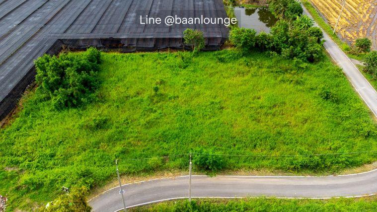 picture Land for rent in Bang Yai, Nonthaburi, along Klong Ta Daeng Road, Soi Pracha Ruam Jai - 8/8