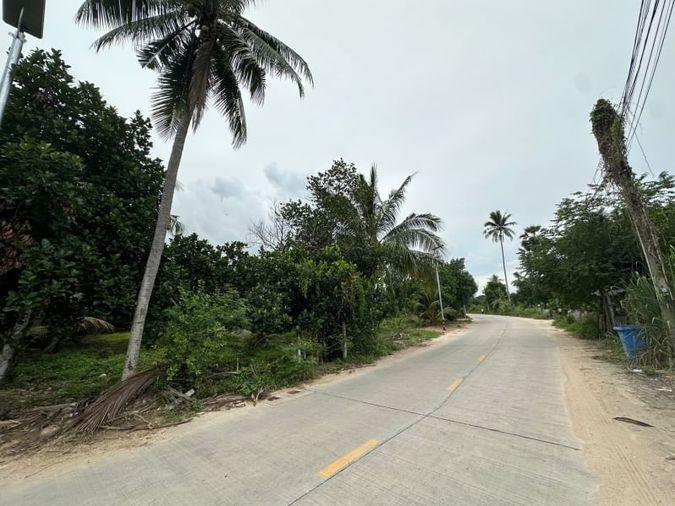 รูป ที่ดินศรีราชา แปลงงาม ทำเลทอง ติดถนนคอนกรีต ซอยเขาน้อย  - รูปที่ 4/5