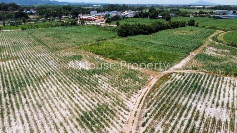 รูป ที่ดินบ้านบึง โซนหนองไผ่แก้ว แปลงสวย ทำเลดี - รูปที่ 2/14