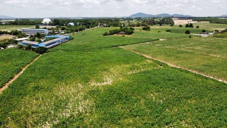 รูป ที่ดินบ้านบึง โซนหนองไผ่แก้ว แปลงสวย ทำเลดี  - รูปที่ 6/14
