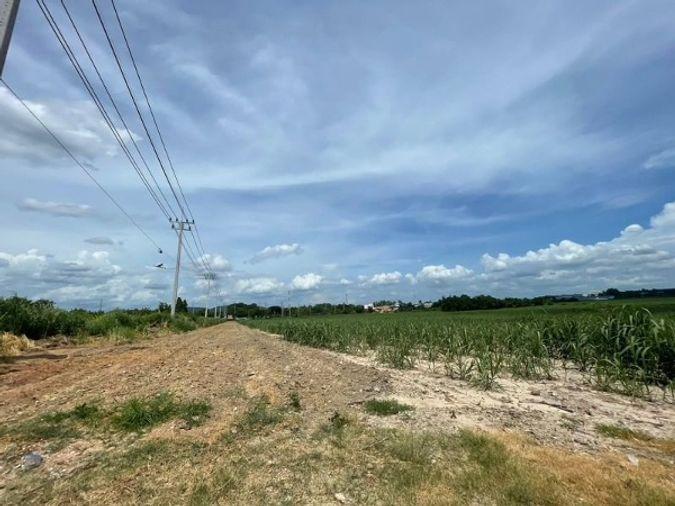 รูป ที่ดินบ้านบึง โซนหนองไผ่แก้ว แปลงสวย ทำเลดี  - รูปที่ 9/14