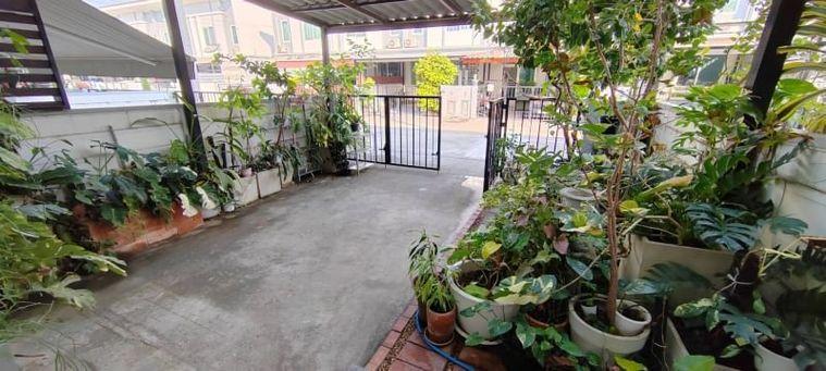 รูป ขาย ทาวน์โฮม 2 ชั้น กัสโต้ เพชรเกษม-ทวีวัฒนา  81/323 - รูปที่ 10/12