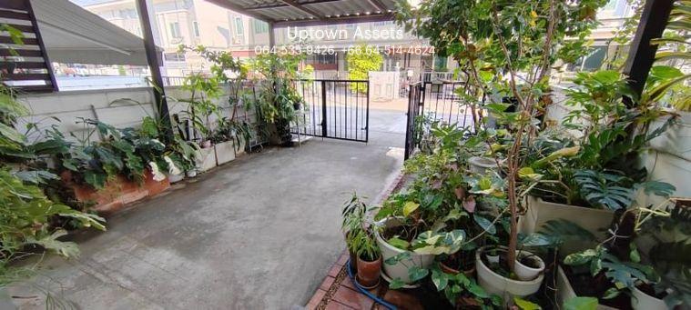 รูป ขาย ทาวน์โฮม 2 ชั้น กัสโต้ เพชรเกษม-ทวีวัฒนา 81/323 - รูปที่ 10/12