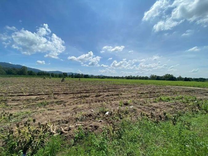 รูป ขายที่ดินเปล่า บางพระ ผังสีเหลือง ทำเลดี ใกล้อ่างเก็บน้ำบางพระ  - รูปที่ 1/9