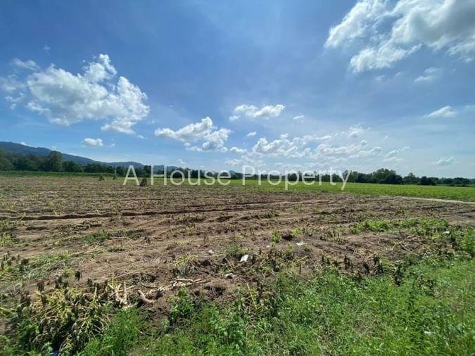 รูป ขายที่ดินเปล่า บางพระ ผังสีเหลือง ทำเลดี ใกล้อ่างเก็บน้ำบางพระ - รูปที่ 1/9