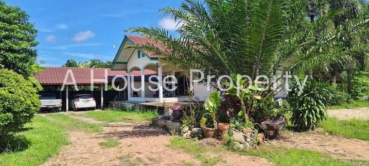 picture Land with buildings, Huai Klum, Bang Phra, Sriracha, Chonburi - 2/9