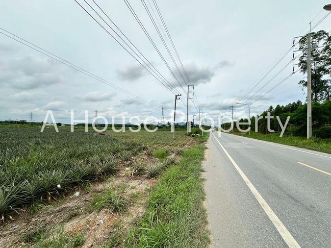 picture Beautiful plot of land, good location, on the main road, Nong Suea Chang, Nong Yai - 7/15