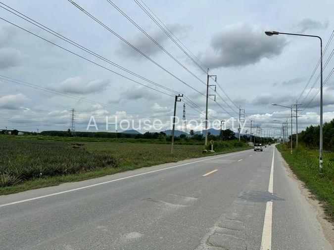 รูป ที่ดินแปลงสวย ทำเลดี ติดถนนหลัก หนองเสือช้าง หนองใหญ่ - รูปที่ 6/15