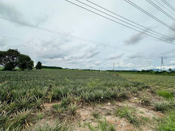 picture Beautiful plot of land, good location, on the main road, Nong Suea Chang, Nong Yai - 4/15