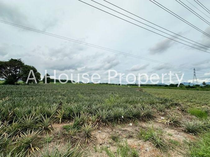 picture Beautiful plot of land, good location, on the main road, Nong Suea Chang, Nong Yai - 4/15