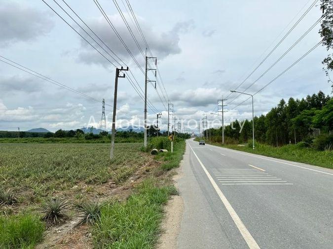 รูป ที่ดินแปลงสวย ทำเลดี ติดถนนหลัก หนองเสือช้าง หนองใหญ่ - รูปที่ 12/15