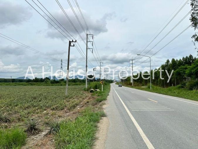 picture Beautiful plot of land, good location, on the main road, Nong Suea Chang, Nong Yai - 12/15