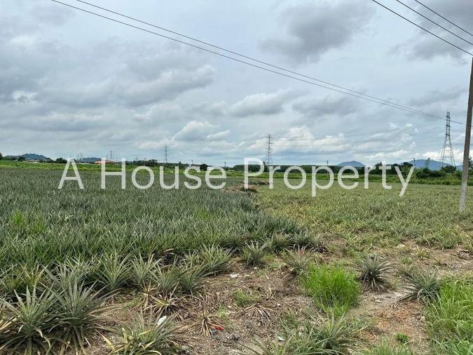 picture Beautiful plot of land, good location, on the main road, Nong Suea Chang, Nong Yai - 2/15